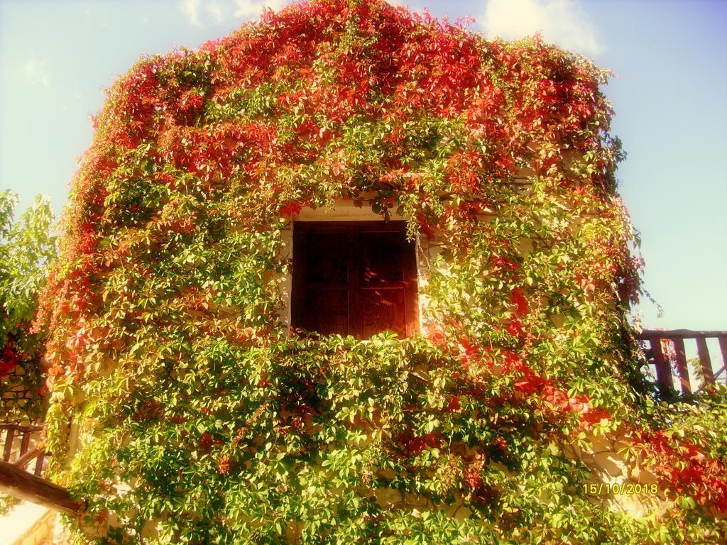 Manoli'S House Pension Douliana Kamer foto